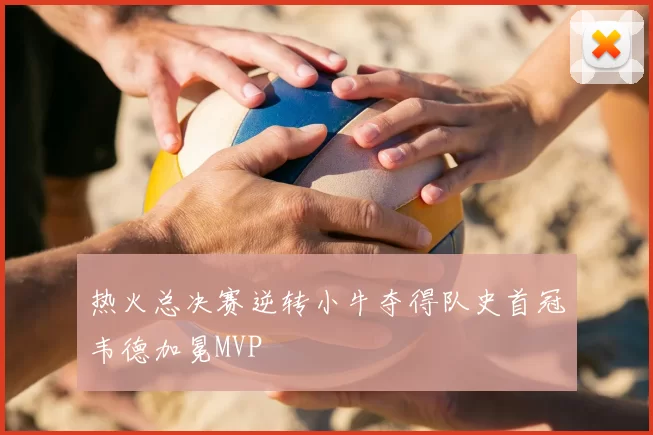 热火总决赛逆转小牛夺得队史首冠韦德加冕MVP