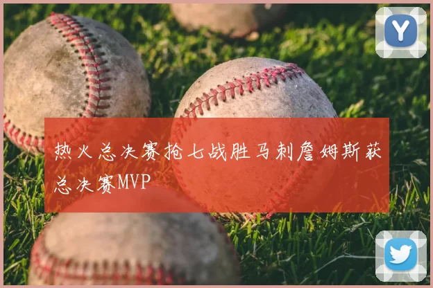 热火总决赛抢七战胜马刺詹姆斯获总决赛MVP